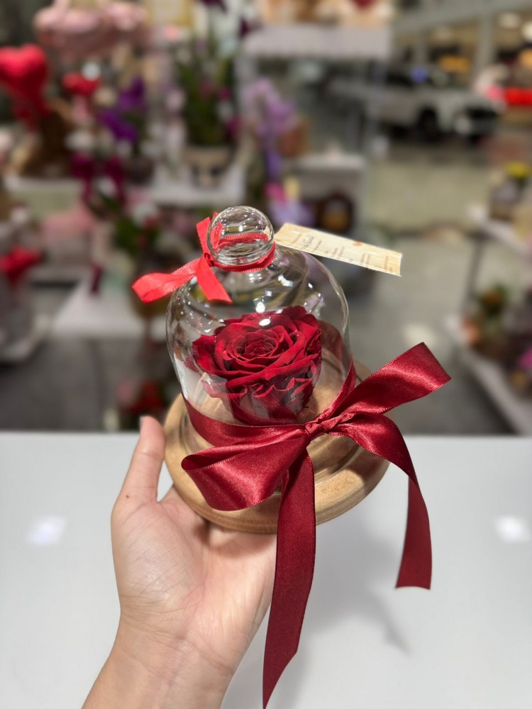 Rosa Preservada - Vermelha Pequena ❤️