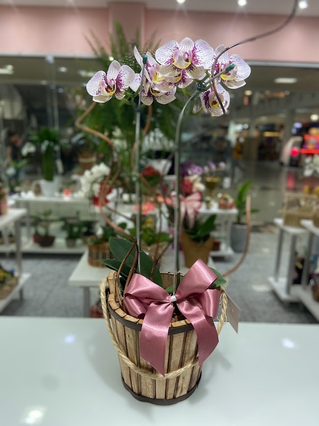 Orquídea no Cachepô Rústico